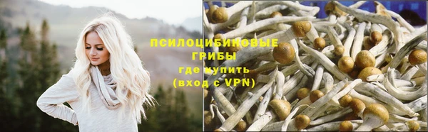 ПСИЛОЦИБИНОВЫЕ ГРИБЫ Михайловск