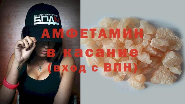 ПСИЛОЦИБИНОВЫЕ ГРИБЫ Михайлов