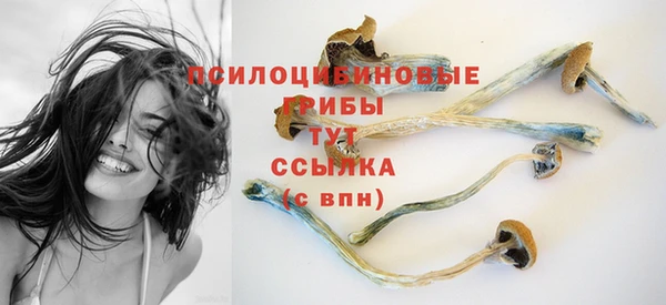 сатива Михайловка