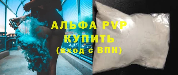 ПСИЛОЦИБИНОВЫЕ ГРИБЫ Михайлов
