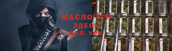 ПСИЛОЦИБИНОВЫЕ ГРИБЫ Михайлов