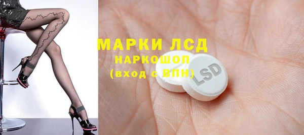 ПСИЛОЦИБИНОВЫЕ ГРИБЫ Михайлов
