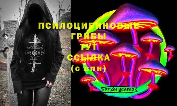 ПСИЛОЦИБИНОВЫЕ ГРИБЫ Михайлов