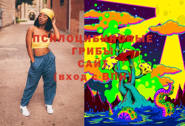 ПСИЛОЦИБИНОВЫЕ ГРИБЫ Михайлов