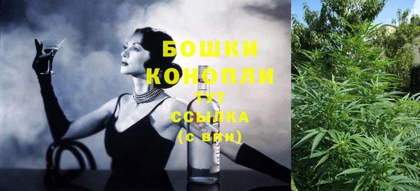 сатива Михайловка