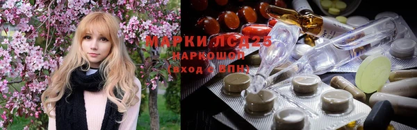 ПСИЛОЦИБИНОВЫЕ ГРИБЫ Михайлов