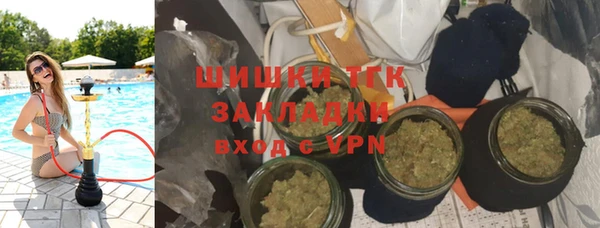 ПСИЛОЦИБИНОВЫЕ ГРИБЫ Михайлов