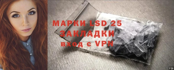 ПСИЛОЦИБИНОВЫЕ ГРИБЫ Михайловск